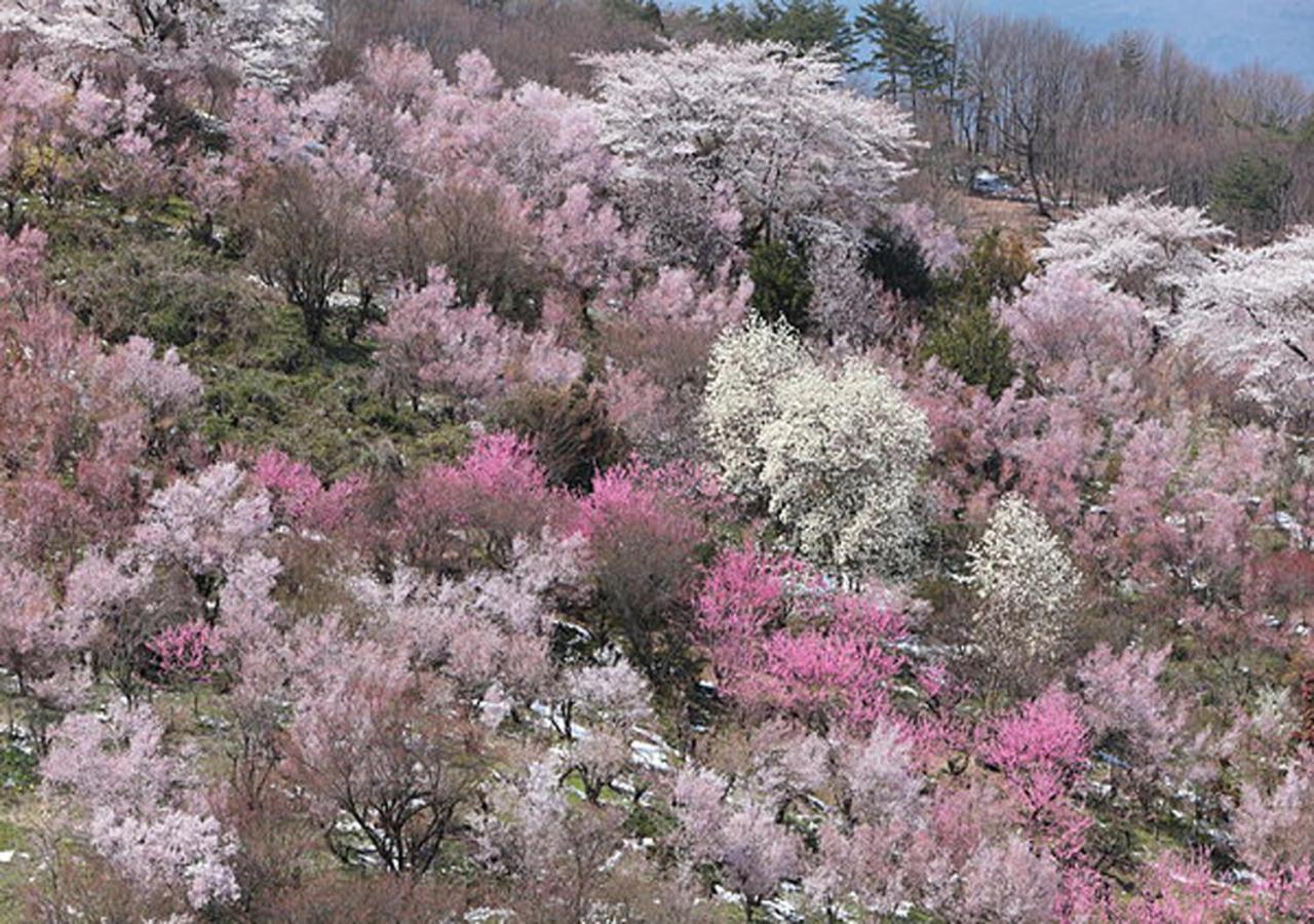 土湯温泉 やすらぎの宿 向瀧旅館 ฟุกุชิมะ ภายนอก รูปภาพ
